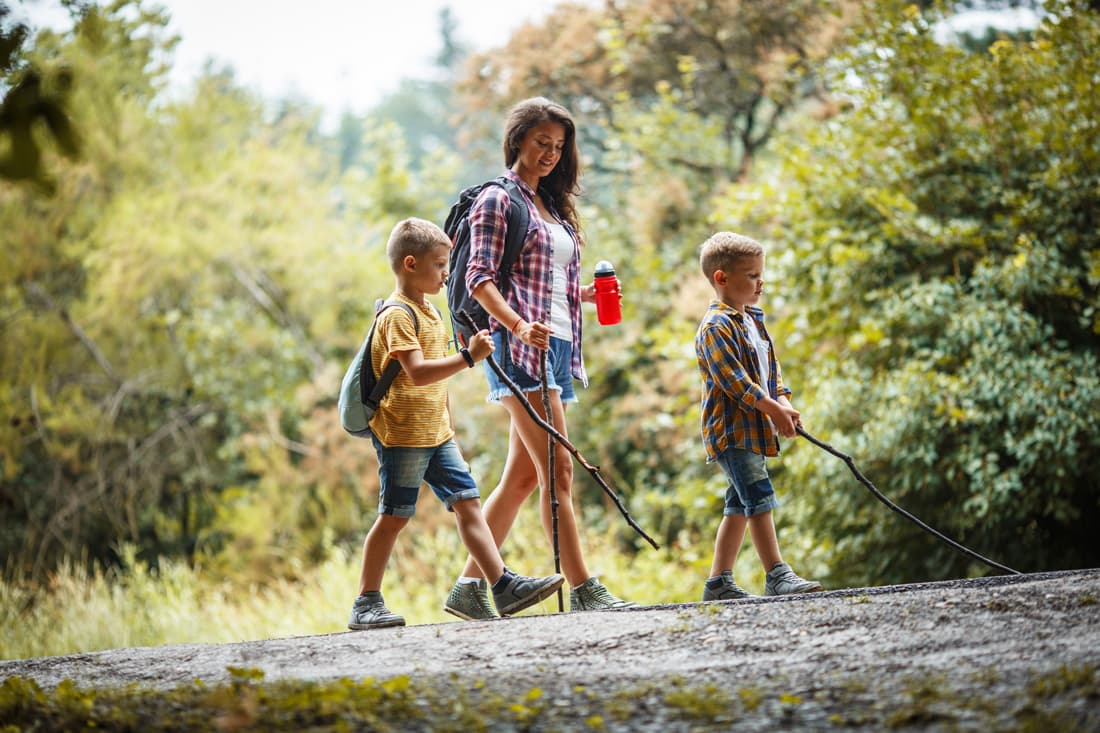 partamentos rurales ideales para familias, parejas o grupos de amigos