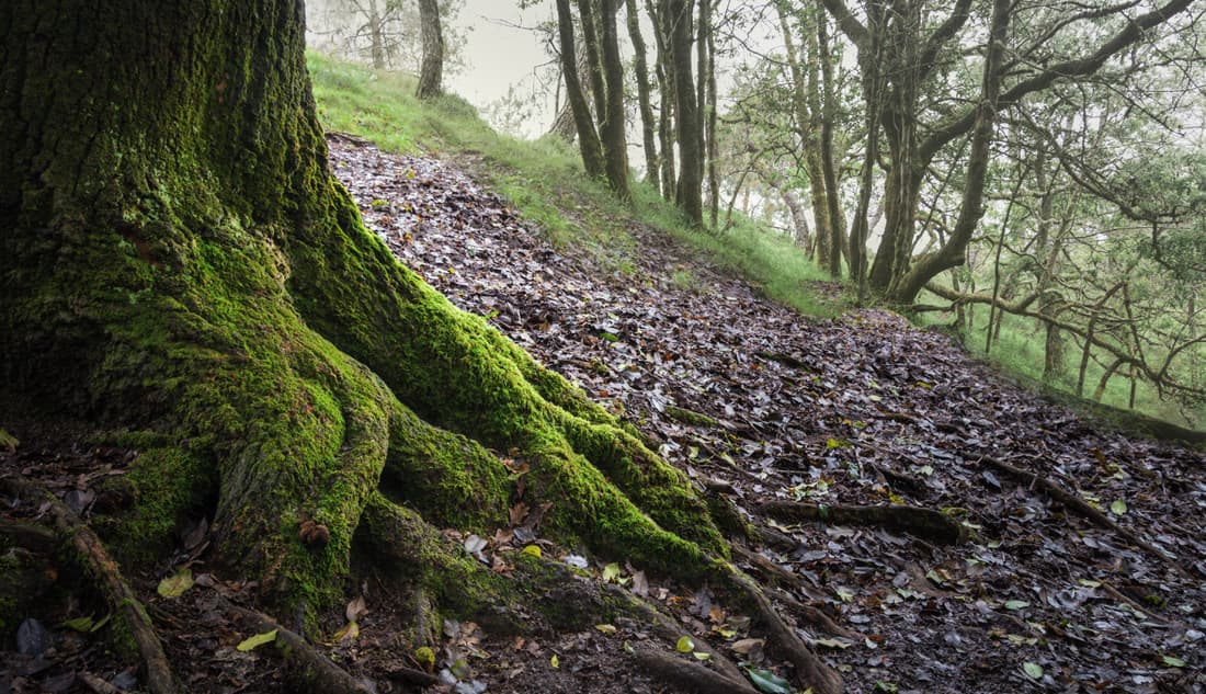 Entorno natural en Ourense