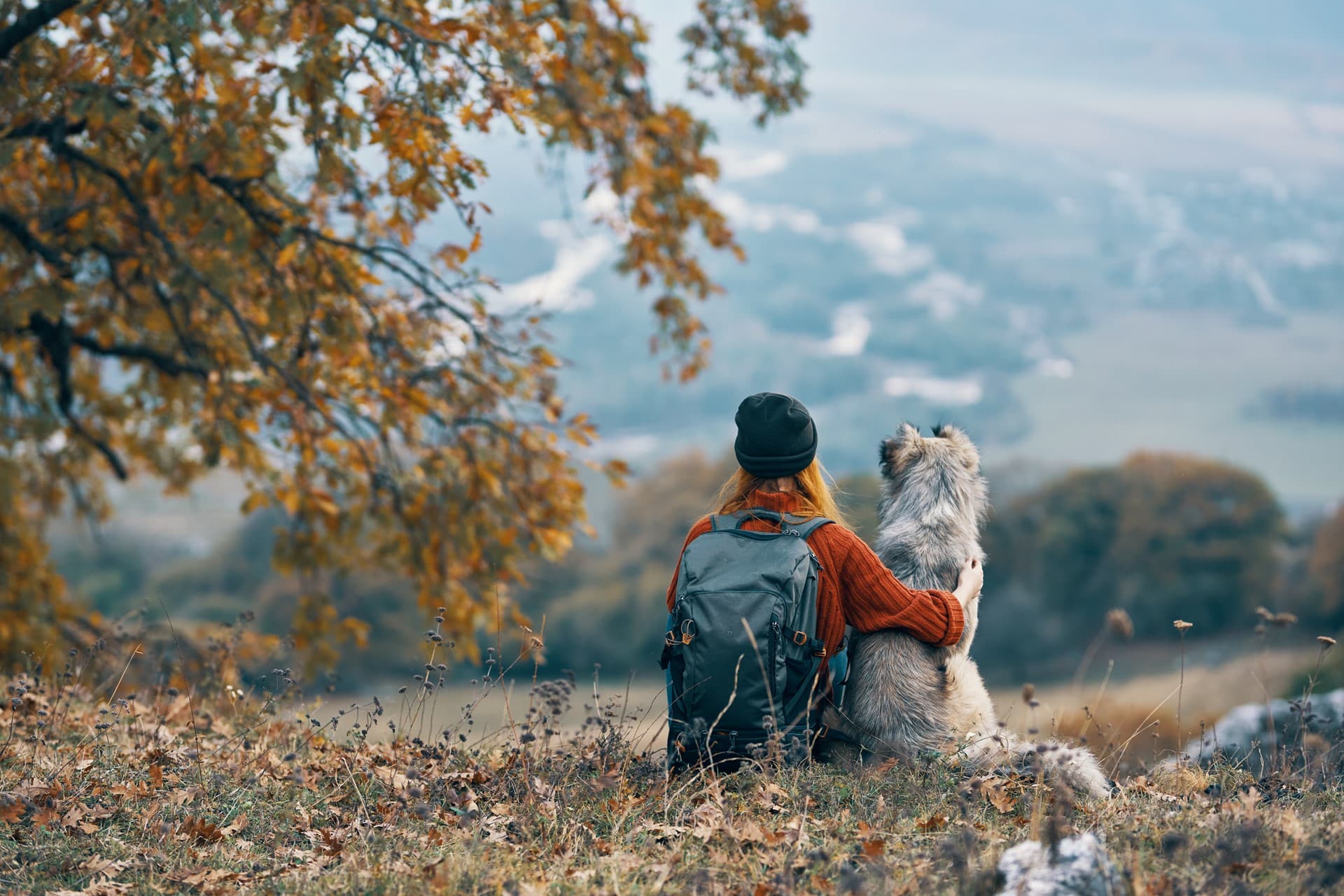 alojamiento con mascotas en Ourense